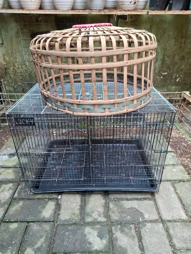 KANDANG SEKAT + KURUNGAN JEMUR