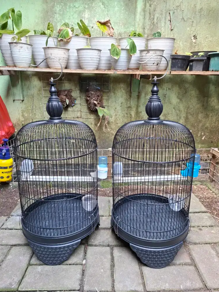 KANDANG LB CC TANGGUNG DIAMETER 33