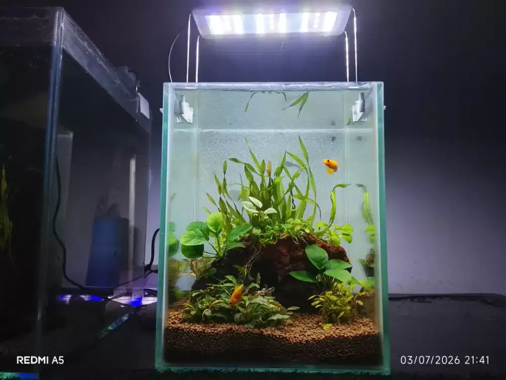 Aquarium air terjun pasir