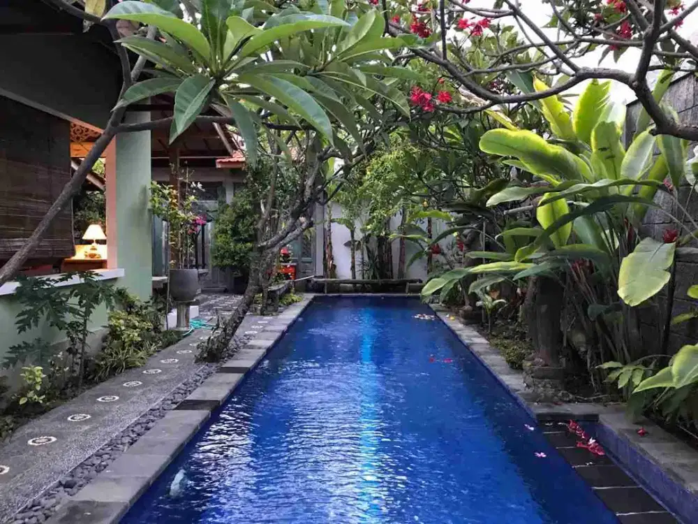 CLASSIC VILLA IN TUKAD BADUNG RENON
