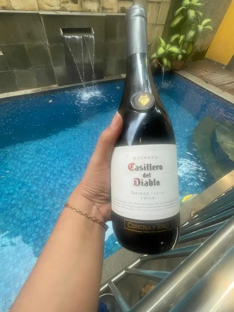 Shiraz casilero diablo