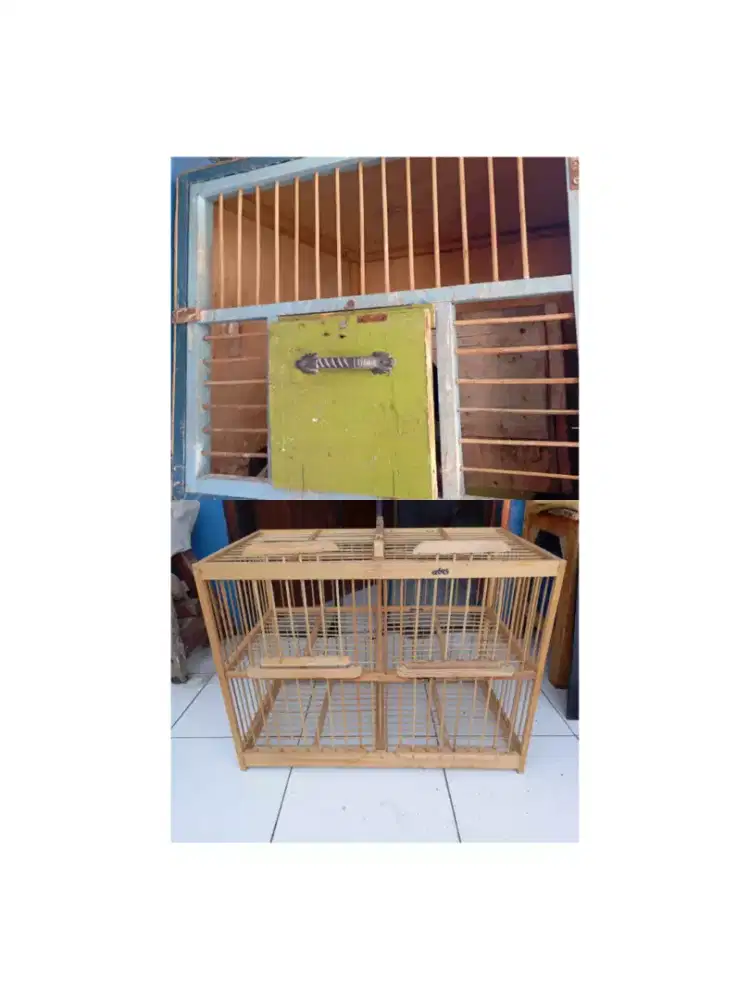 JuaL dongdang merpati 4 pintu & pagupon bekas layak pakai