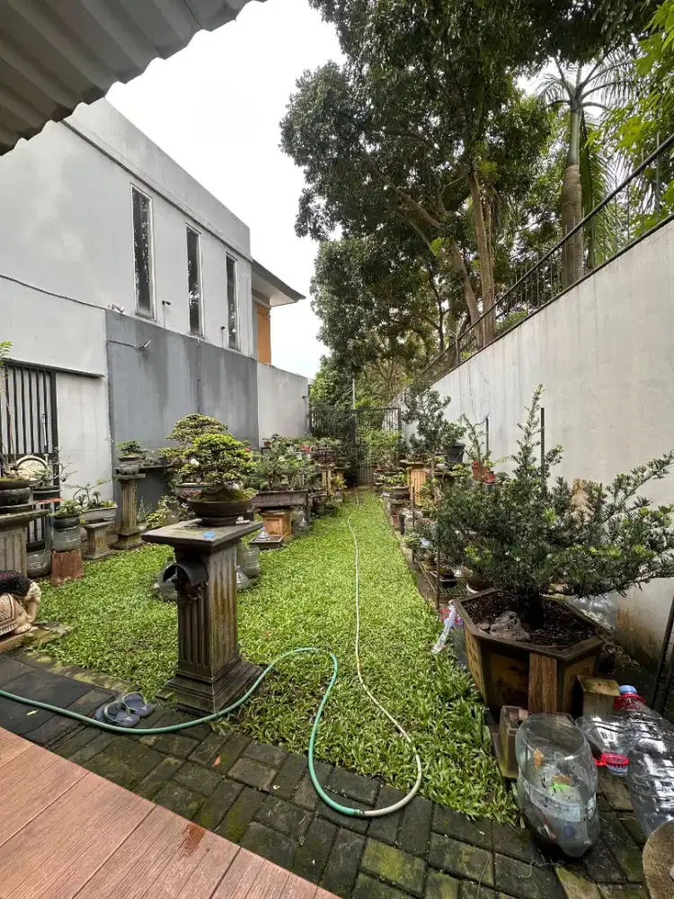 Butuh segera ART