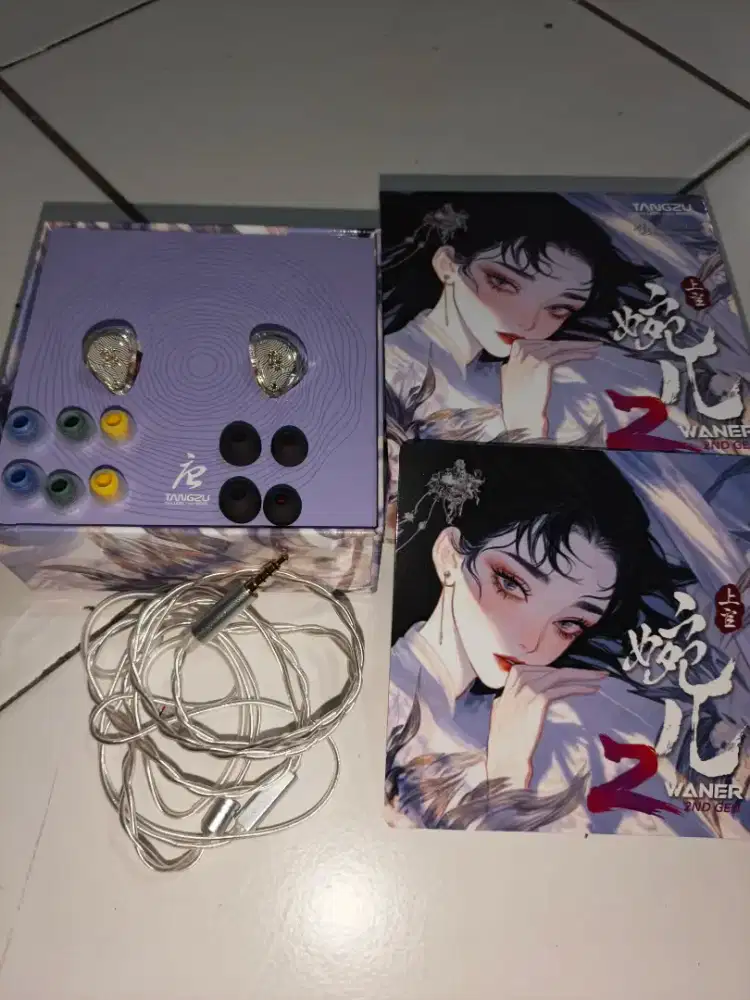 Tangzu Waner 2 / Waner S.G 2 10mm Dynamic Driver IEM Earphone