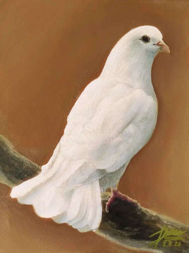 The Dove - Bible Painting