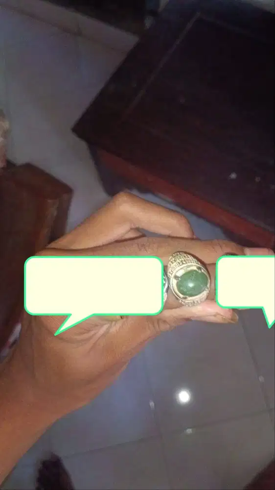 Jual cicin bekas