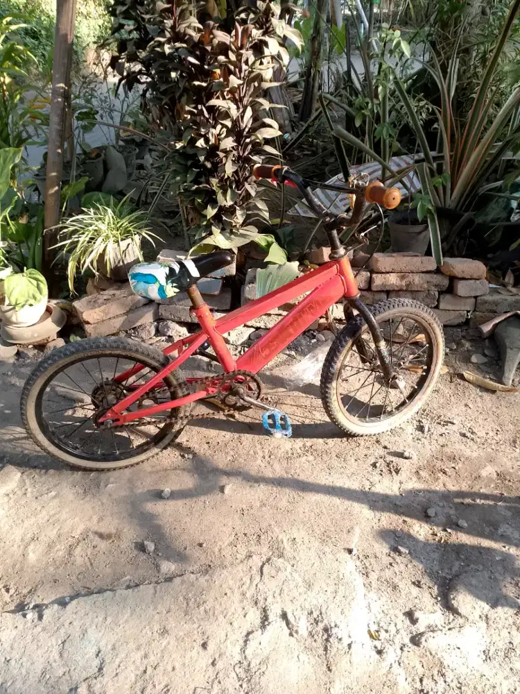 Sepeda anak 16 siap pakai