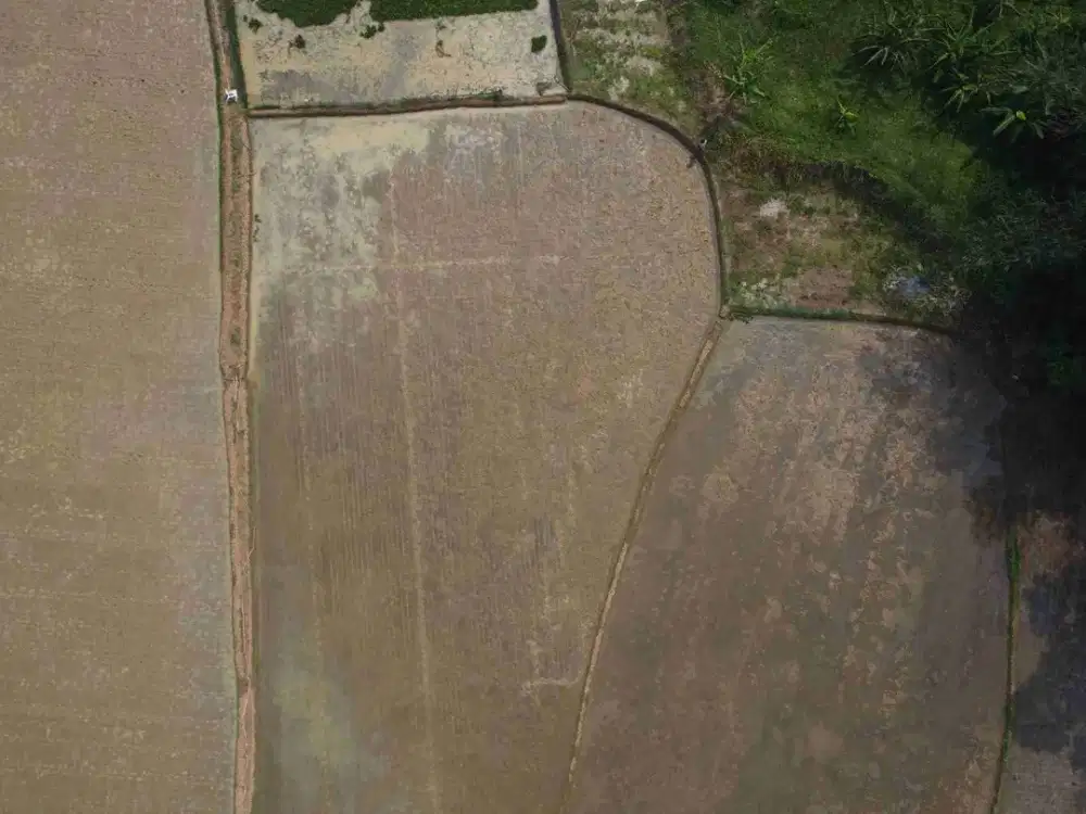 Jual Tanah Sawah, Cibatu Purwakarta