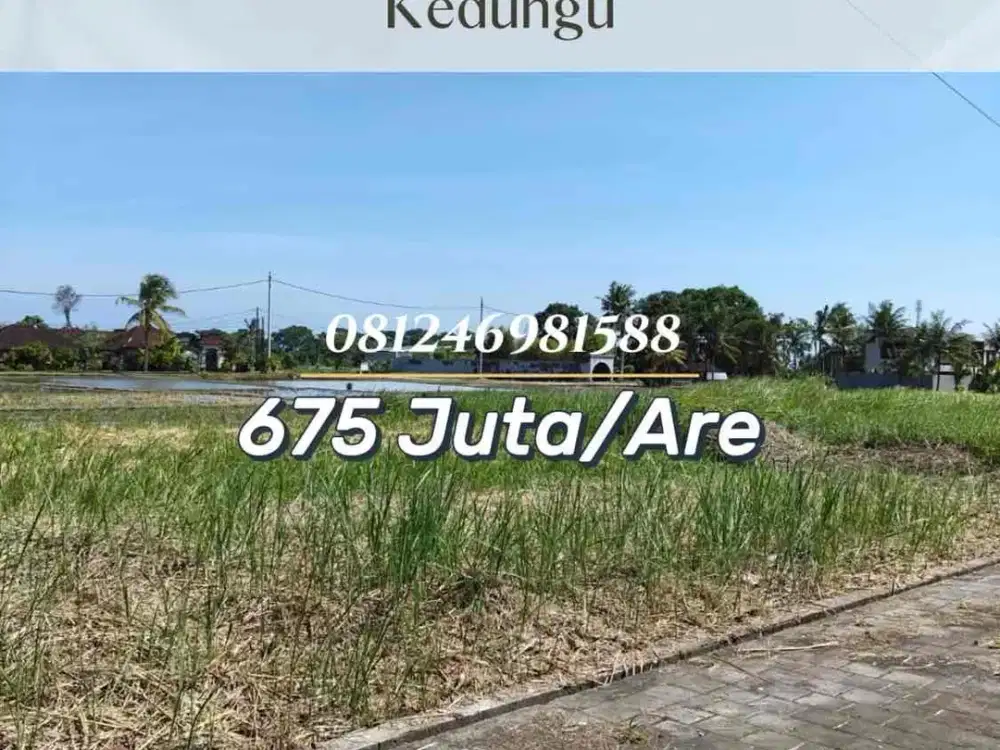 SALE Tanah View Sawah Dekat Pantai Kedungu