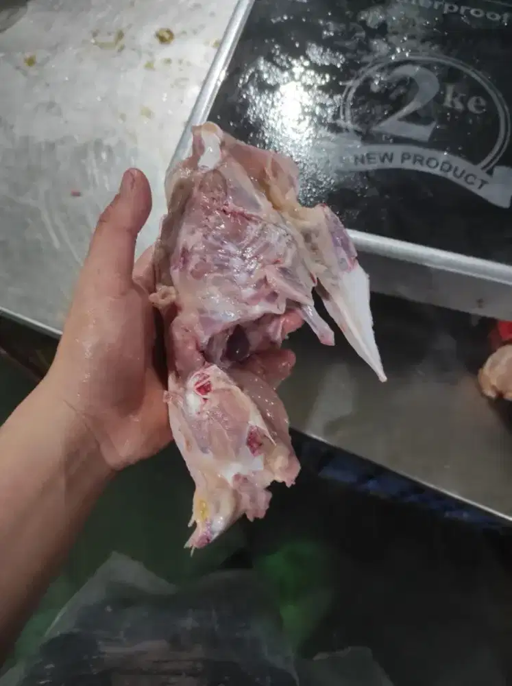 Ayam potong(krongkongan)