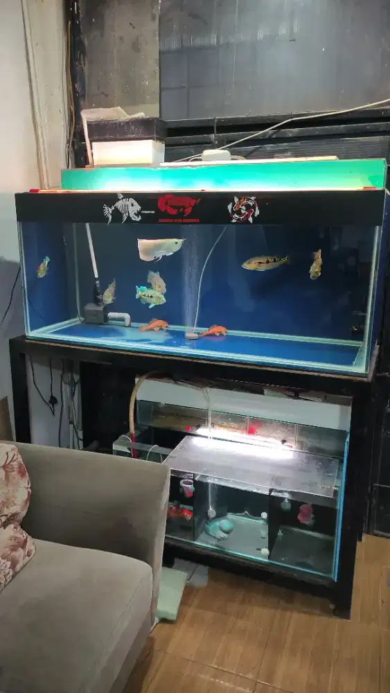 Aquarium 150x60x65 full 12ml fulset