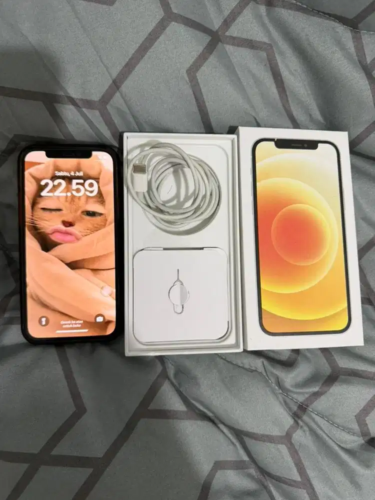 iphone 12 inter