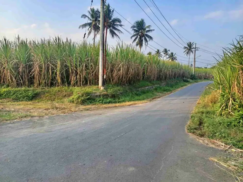 TANAH SETRATEGIS TEGARON KEPANJEN KABUPATEN MALANG