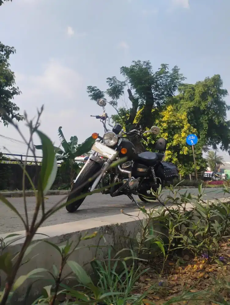 Benelli Patagonian Eagle 250cc 2019 Karburator
