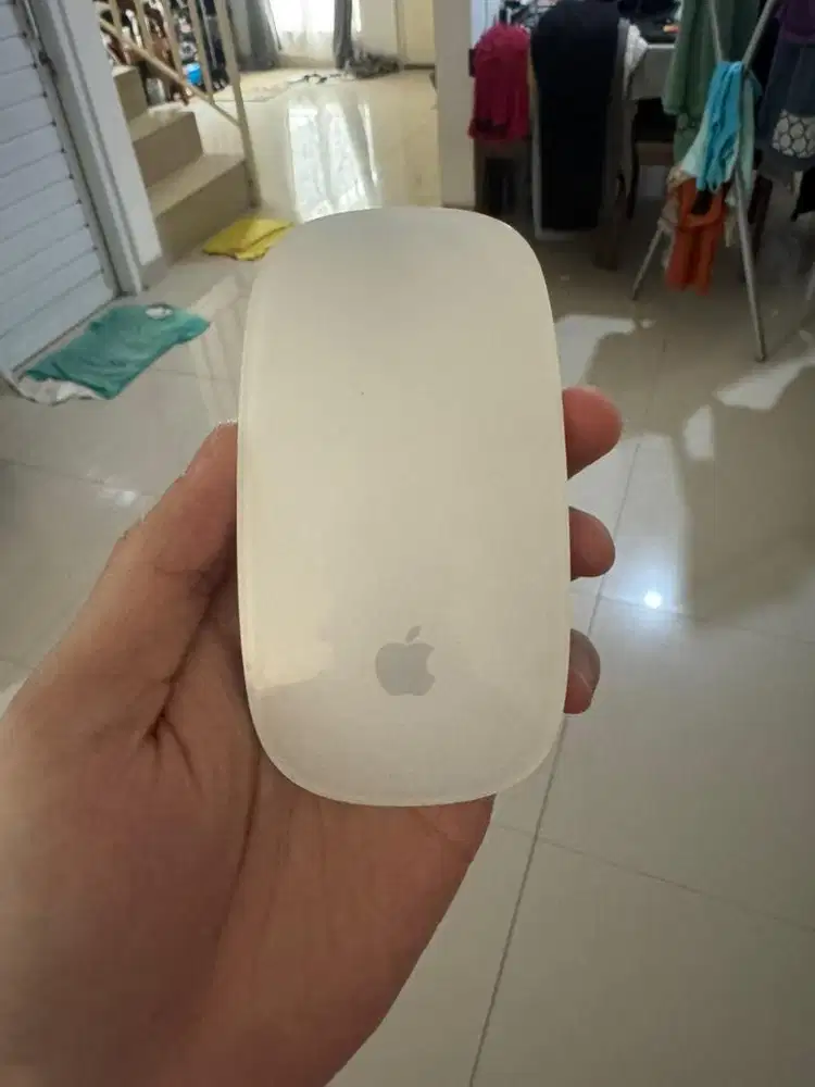 Apple magic mouse original normal