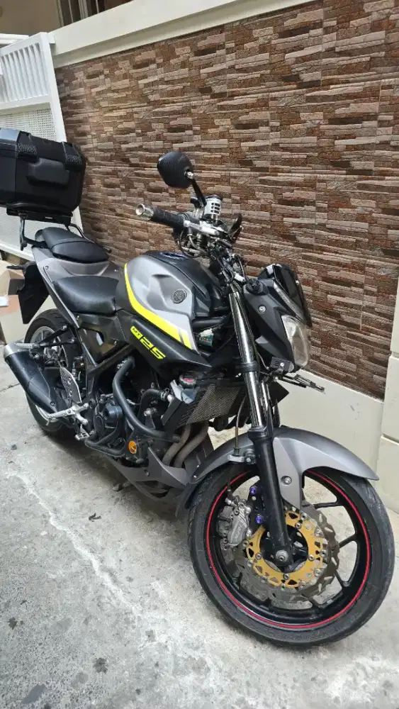 Yamaha MT 25 MT25