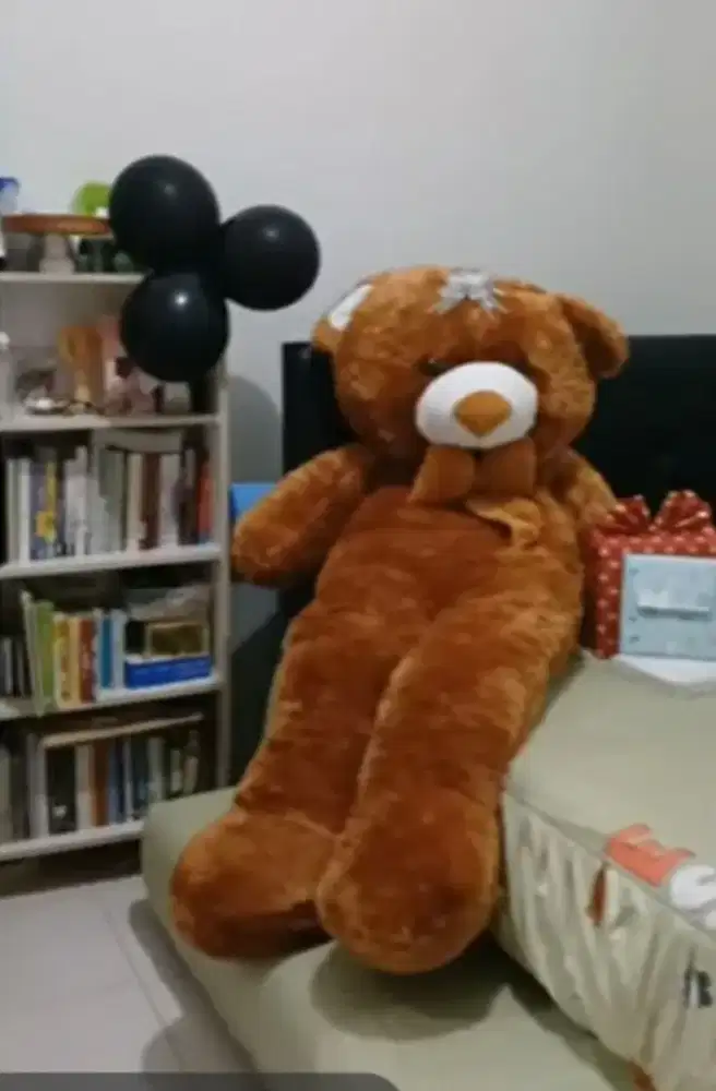 Preloved Boneka Tedy Bear JUMBO