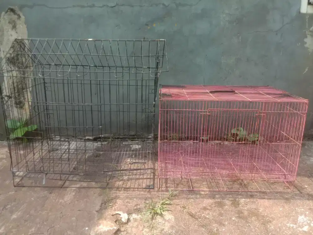 Kandang kucing bekas