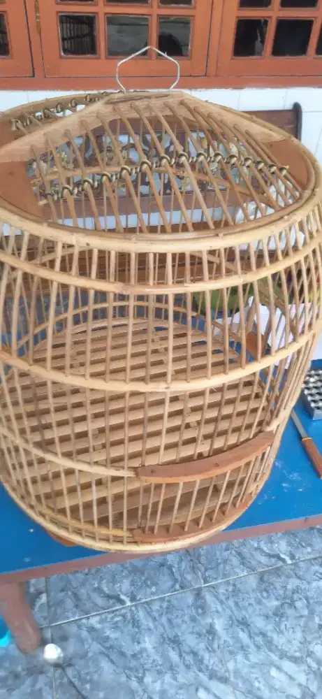 Kandang ayam bekisar