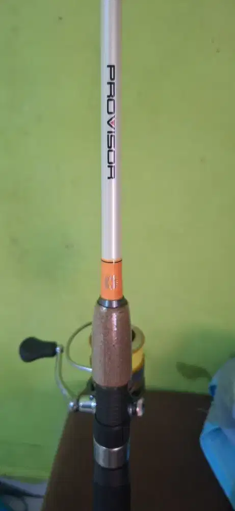 Joran pancing daiwa