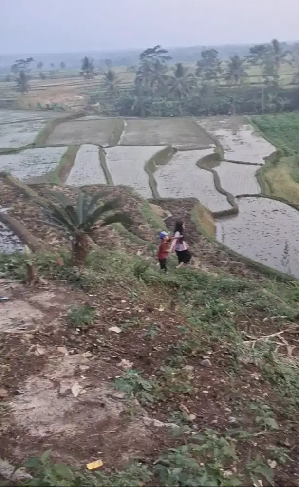 Dijual tanah pinggir jl raya