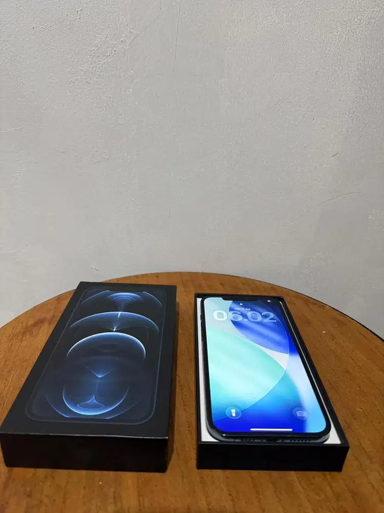 Iphone 12 Pro Max 256gb Resmi Bea Cukai