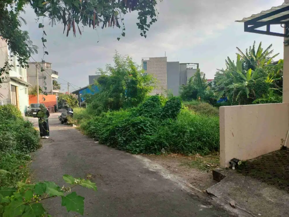 Buc Tanah 177M2 Arah Pantai Lingk Villa Sempol Canggu Pererenan - Thumbnail 4