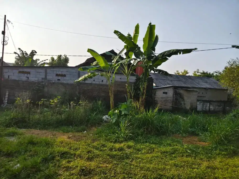 Dijual Cepat Tanah Murah Lokasi Strategis