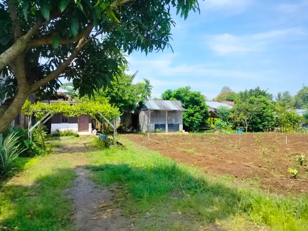 Disewakan tanah