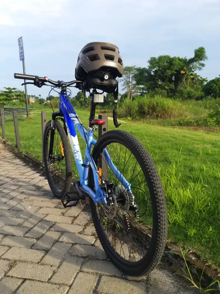 Polygon edisi khusus MT300 Dirtjump  frame aloy
