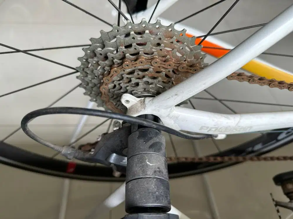 Polygon S3 Germany