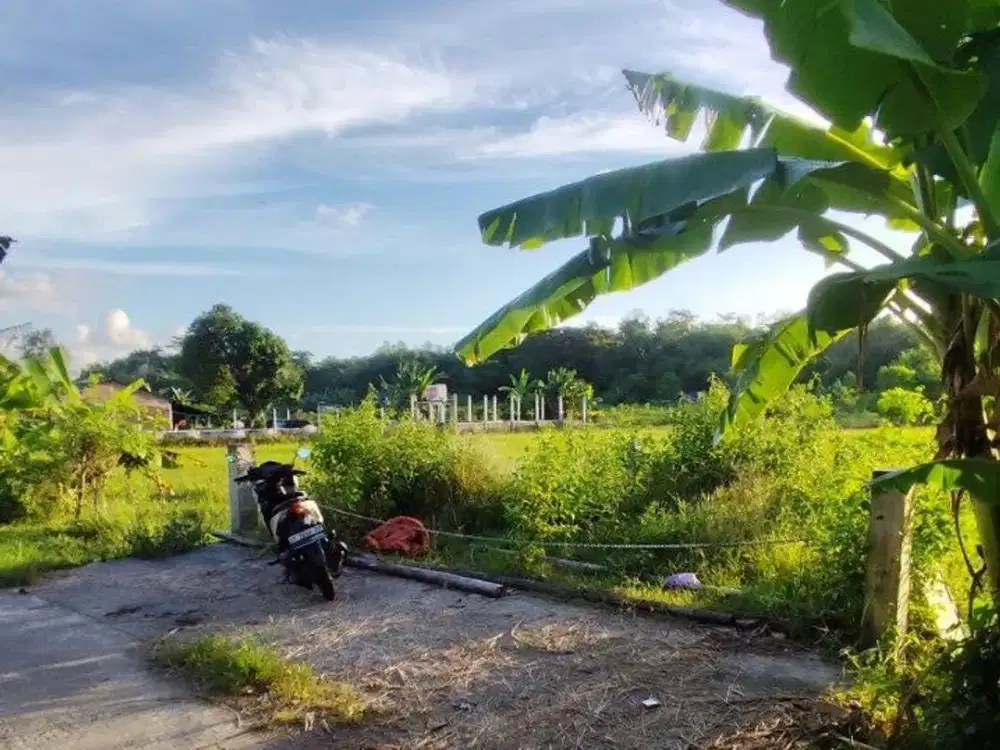 Tanah Sawah Dekat Rs Nur Hidayah Jalan Imogiri Timur Km12 Jetis Bantul