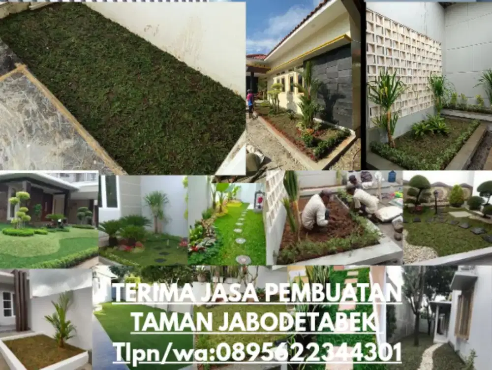 TAMAN DAN JUAL RUMPUT GAJAH MINI
