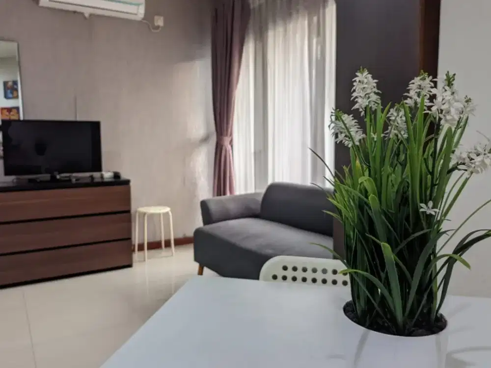 disewakan apartemen cantik, murah full furnish