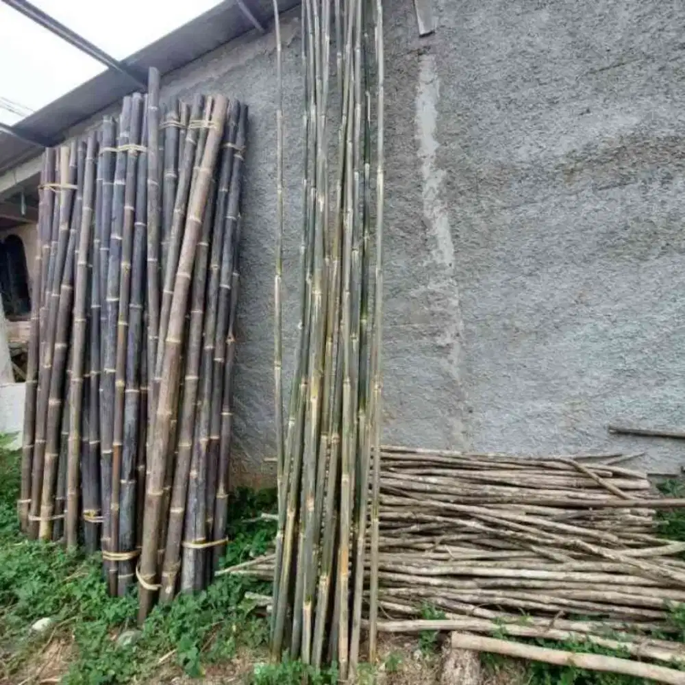TIANG BAMBU BENDERA UMBUL' PANJANG 2 METER 100 BATANG