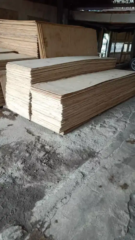 Balok dan triplek jati belanda 2 meter