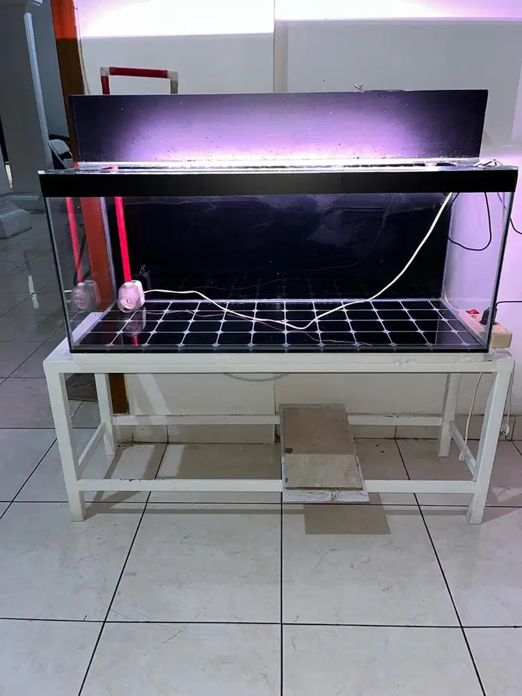aquarium ikan dan lainya