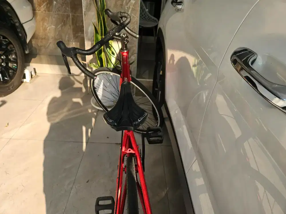 DIJUAL SEPEDA ROADBIKE 700c CELCIUS LUXE FRAME ALLOY