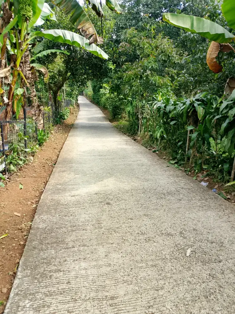 Dijual lahan kebun nempel jln