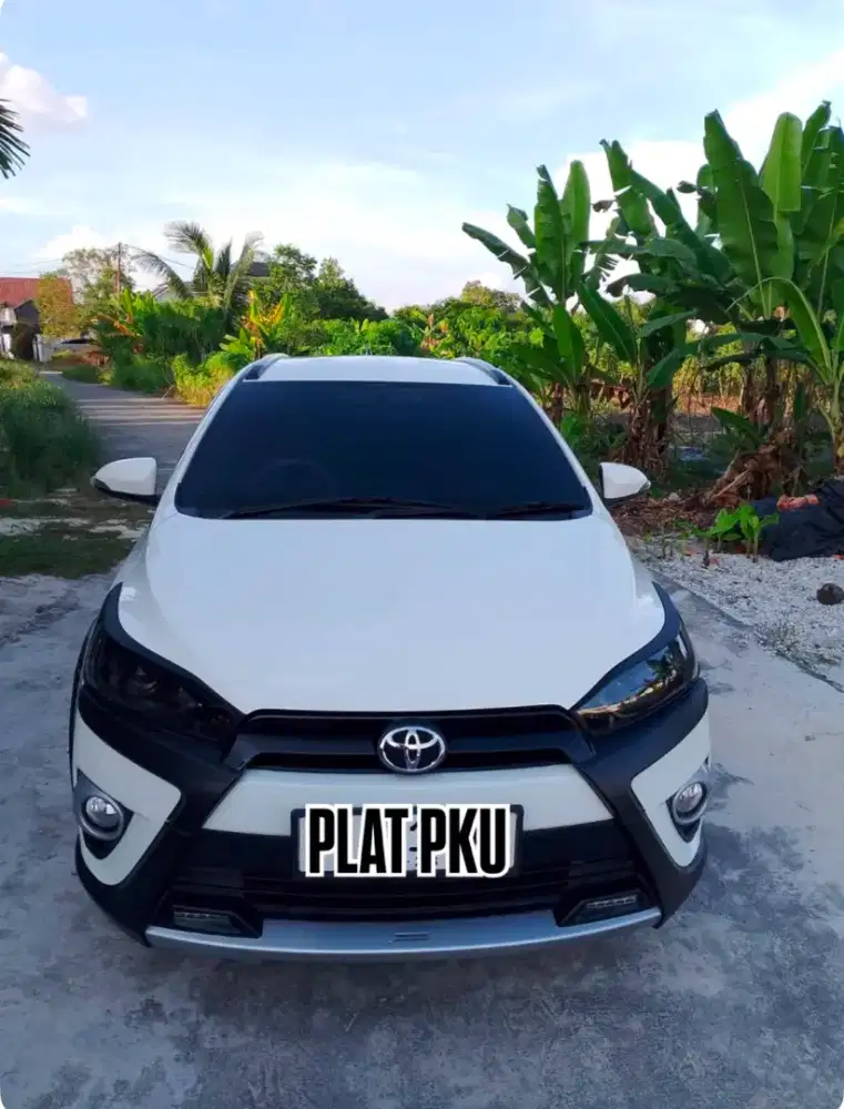 Yaris Heykers 2017