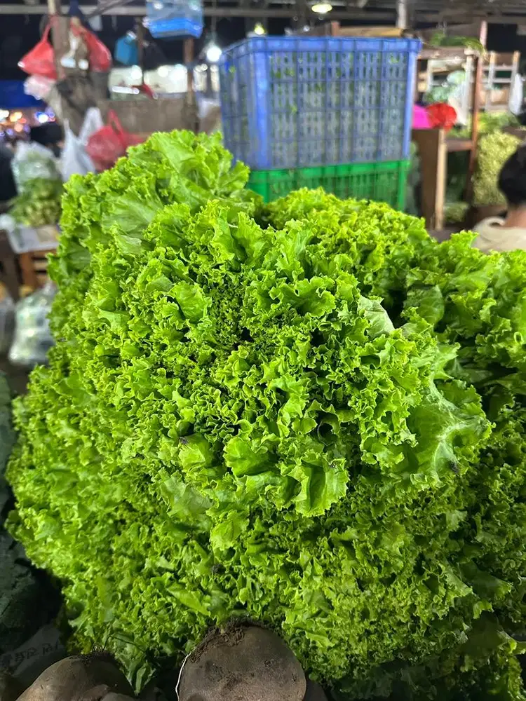 Dibutuhkan Sales sayuran