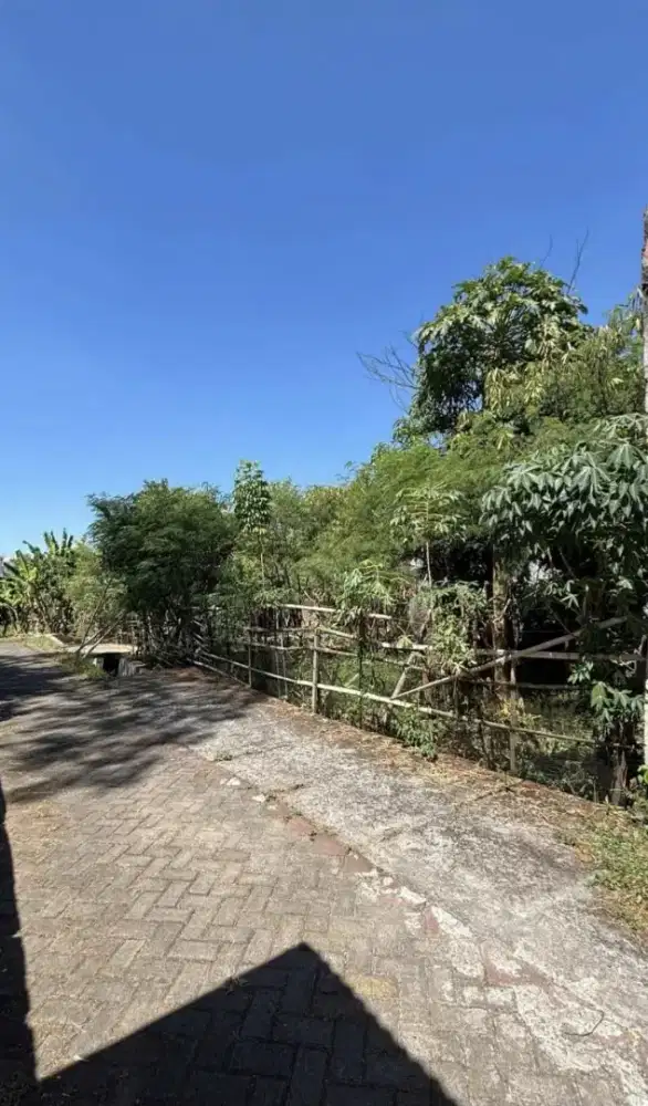 TANAH MURAH MULAWARMAN UNDIP TEMBALANG