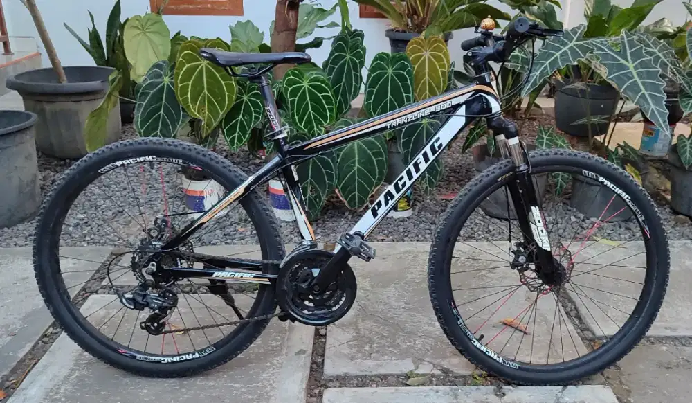 Sepeda BEKAS MTB Pacific Tranzline300 Bekas nyuss