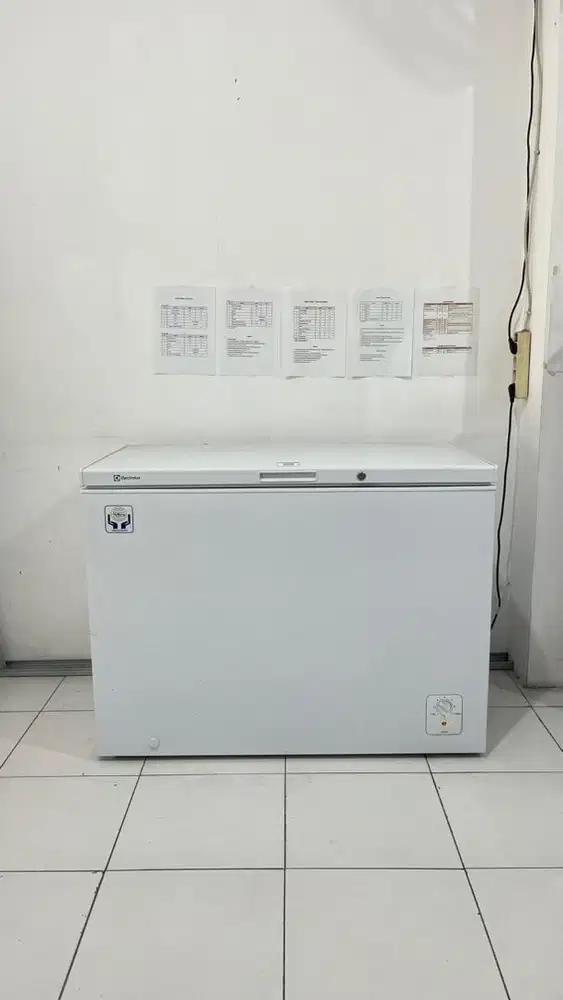 FREEZER ELEKTROLUX MULUSSSS