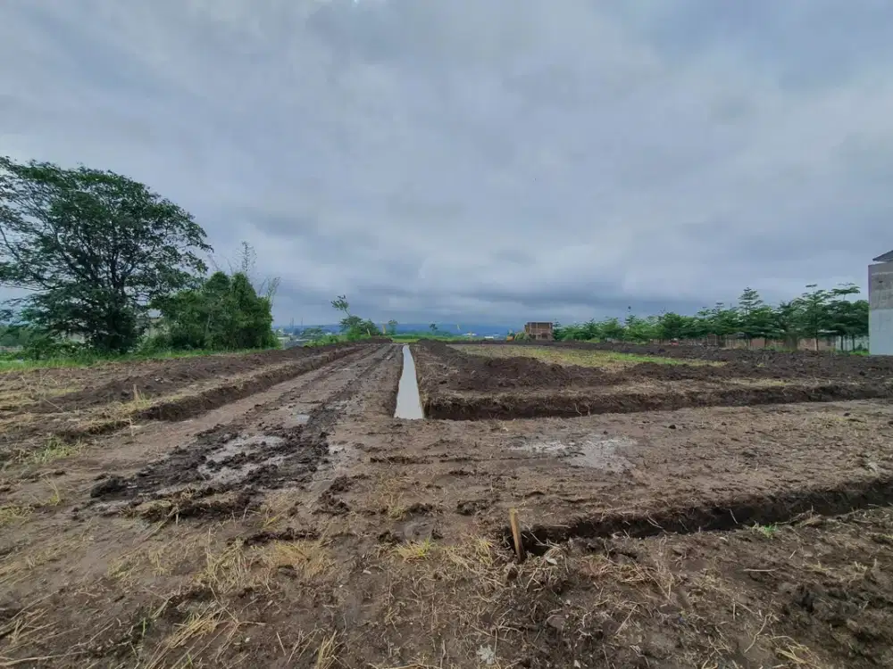 Dijual Tanah Bandulan Malang – Dekat Pusat Kota, Harga Terbaik!
