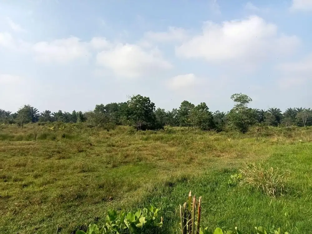 Jual Tanah Pekanbaru surat SKGR