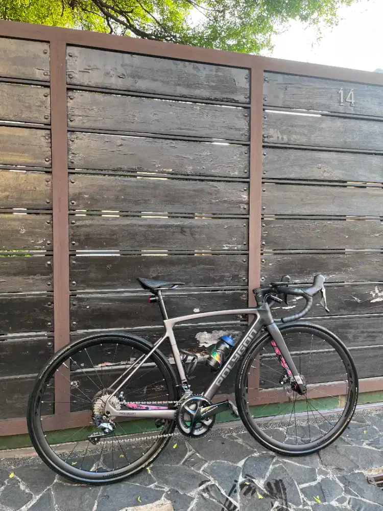 Roadbike Polygon Strattos S8D