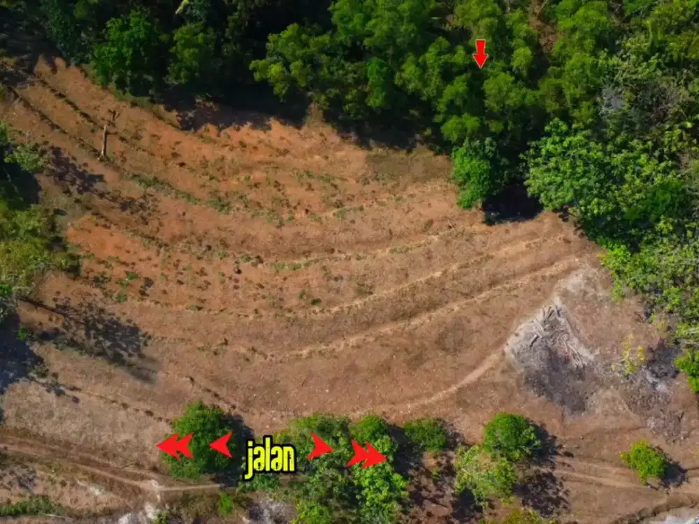 Tanah Perkebunan Subur