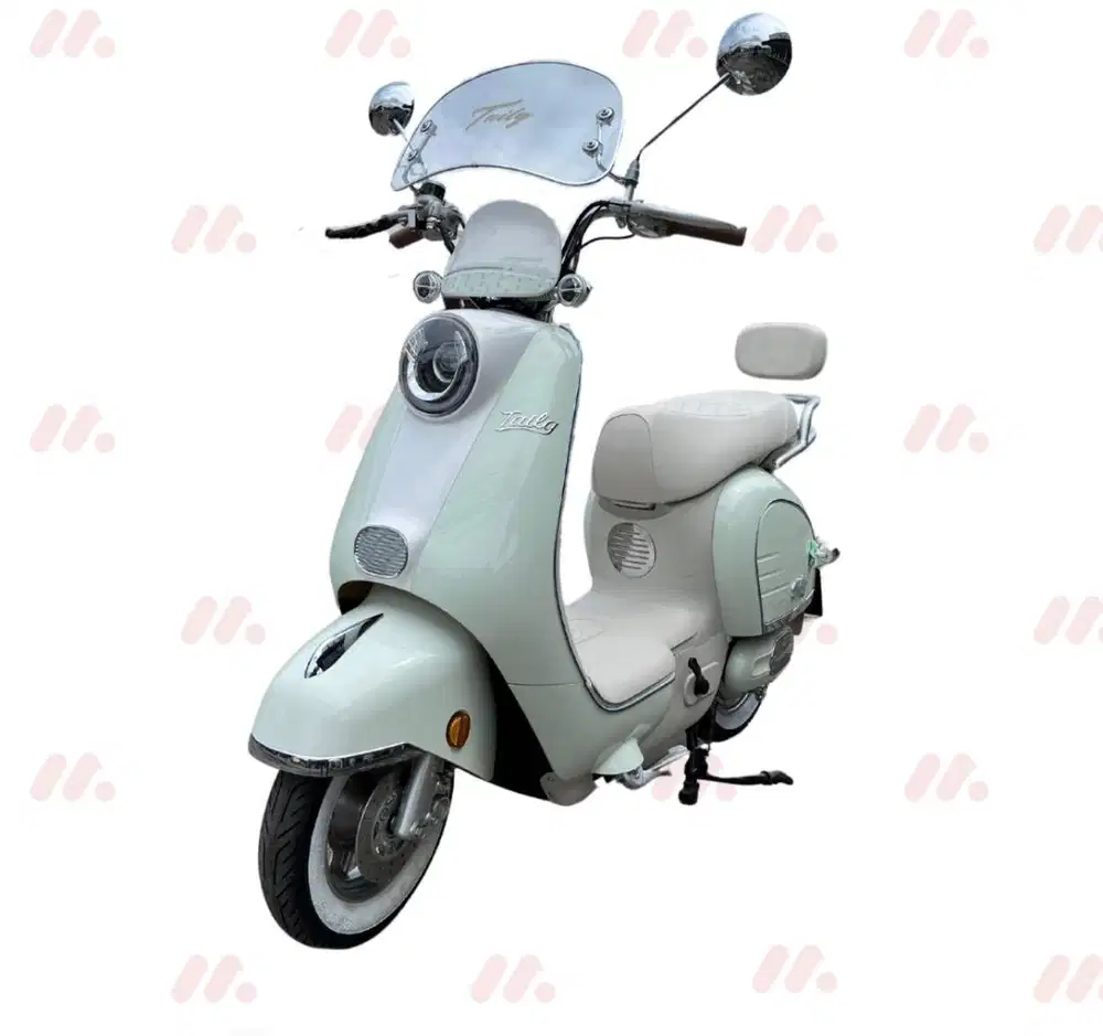 SEPEDA LISTRIK TAILG GR51