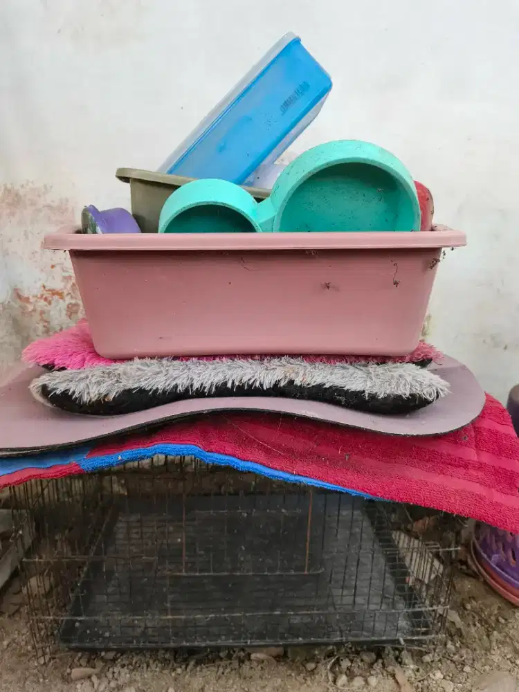 Kandang Kucing Bekas